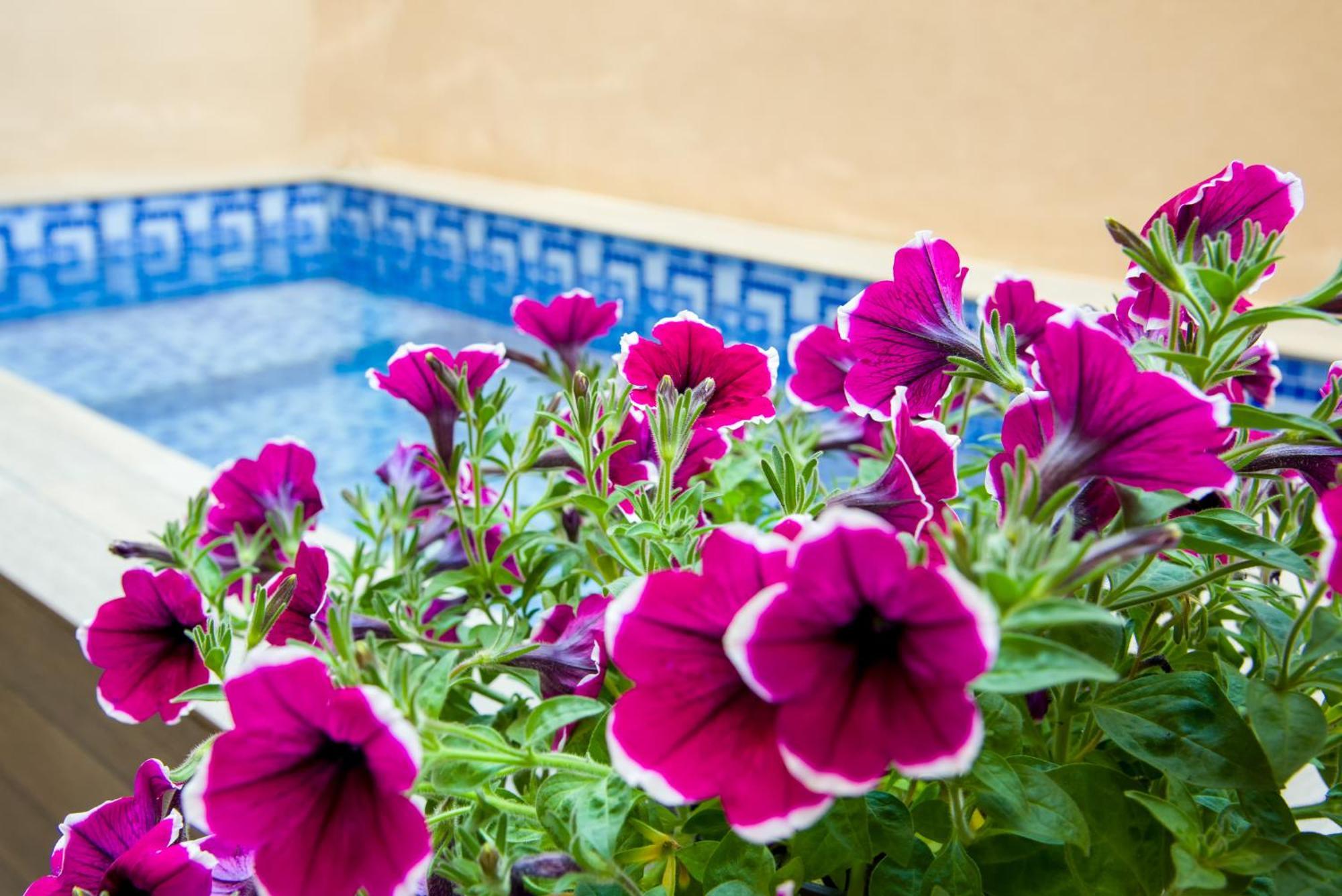 Aretousa Suites Chania  Zewnętrze zdjęcie